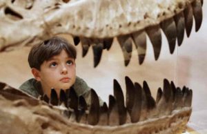 The new dinosaur is called Tralkasaurus, which means "thunder reptile" in the indigenous Mapuche language common in Patagonia. In this file photo, a boy in Melbourne, Australia inspects the teeth of a theropod dinosaur