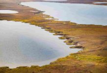 NASA flights detect millions of Arctic methane hotspots The image shows a thermokarst lake in Alaska. Thermokarst lakes form in the Arctic when permafrost thaws. Credit: NASA/JPL-Caltech