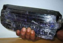 The Mawenzi : The Largest Tanzanite rough in the World The Mawenzi : The Largest Tanzanite rough in the World