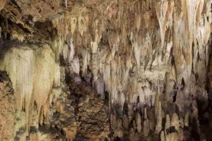 Galleria delle Stalattiti, Corchia Cave. Credit: Linda Tegg