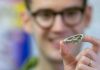 Wonderchicken : fossil from the age of dinosaurs reveals origin of modern birds Dr Daniel Field holding a replica version of the 'Wonderchicken' skull