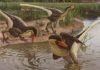 Dineobellator notohesperus : New feathered dinosaur was one of the last surviving raptors A new feathered dinosaur that lived in New Mexico 67 million years ago is one of the last known surviving raptor species, according to a new publication in the journal Scientific Reports. Dineobellator notohesperus adds to scientists' understanding of the paleo-biodiversity of the American Southwest, offering a clearer picture of what life was like in this region near the end of the reign of the dinosaurs. Credit: Sergey Krasovskiy
