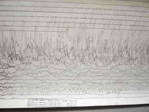 A seismogram of 2011 Tōhoku earthquake and tsunami recorded at Weston Observatory in Massachusetts, USA. Credit: Image from Wikimedia Commons.