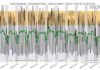 Thanks to COVID-19, nothing’s moving—and seismologists can tell Things are really quieting down on planet Earth. Credit: The Royal Observatory of Belgium.
