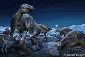Published in PLOS ONE today, a study by an international team from the Perot Museum of Nature and Science in Dallas and Hokkaido University in Japan further explores the proliferation of the most commonly occurring duck-billed dinosaur of the ancient Arctic as the genus Edmontosaurus. The findings reinforce that the hadrosaurs - dubbed "caribou of the Cretaceous" - had a geographical distribution of approximately 60 degrees of latitude, spanning the North American West from Alaska to Colorado. Credit: Masato Hattori