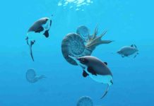 Fishing rod ‘selfie stick’ and scientific sleuthing turn up clues to extinct sea reptile An artistic life reconstruction of Nannopterygius. Credit: Andrey Atuchin