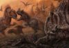 In stressed ecosystems Jurassic dinosaurs turned to scavenging, maybe even cannibalism Big theropod dinosaurs such as Allosaurus and Ceratosaurus ate pretty much everything -- including each other, according to a new study. Credit: PLOS ONE