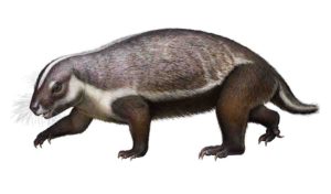 Life-like reconstruction of Adalatherium hui from the LateCretaceous of Madagascar. Credit: Denver Museum of Nature & Science/Andrey Atuchin.