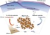 Oxygen-excess oxides in Earth’s mid-mantle facilitate the ascent of deep oxygen A schematic diagram of the Earth's deep oxygen factory shows the oxygenation and deoxygenation processes of hydrous mantle materials in the lower mantle across the ~1000 km depth beneath Earth's surface. Under the conditions of Earth's middle mantle, scientists discovered an oxygen-excess phase, (Mg,Fe)2O3+δ (0 < δ < 1) that can be formed with under-saturated water at >1000 kilometers depths. Those oxygen-excess materials may have long-termly oxidized the shallow mantle and the crust, which is essential to allow free oxygen to build up in Earth's atmosphere. Credit: Science China Press