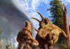 T. rex’s long legs were made for marathon walking In this artist's depiction of wildlife from Alberta, Canada, 77 million years ago, the tyrannosaur Daspletosaurus hunts a young horned Spinops, while an adult Spinops tries to interfere and a Coronosaurus watches from a distance. Credit: Julius Csotonyi.