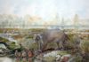 Big-boned marsupial unearths evolution of wombat burrowing behavior Life reconstruction of the giant wombat relative Mukupirna nambensis on the shores of Lake Pinpa 25 million years ago. Also shown are stiff-tailed ducks (foreground) and flamingos (background), the remains of which are known from the same fossil deposit. Credit: Painting by Peter Schouten.