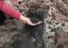 Coal-burning in Siberia led to climate change 250 million years ago A lump of coal weathering out from Siberian flood basalts in a quarry near the town of Ust Ilimsk Credit: Scott Simper