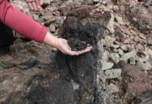 Coal-burning in Siberia led to climate change 250 million years ago A lump of coal weathering out from Siberian flood basalts in a quarry near the town of Ust Ilimsk Credit: Scott Simper