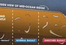 Geochemists solve mystery of Earth’s vanishing crust Scientists examined hundreds of samples taken along the global ridges that contain recycled ancient oceanic crust in variable amounts. "Depleted" segments of the ridge received lower than "normal" amounts of recycled crust, while "enriched" segments contain a larger proportion of recycled crust.