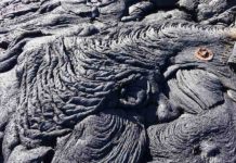 Remixed mantle suggests early start of plate tectonics New Curtin University research on the remixing of Earth's stratified deep interior suggests that global plate tectonic processes, which played a pivotal role in the existence of life on Earth, started to operate at least 3.2 billion years ago. Credit: Professor Zheng-Xiang Li