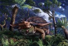 Scientists discover what an armored dinosaur ate for its last meal Illustration of Borealopelta markmitchelli dinosaur by Julius Csotonyi. Credit: © Royal Tyrrell Museum of Palaeontology