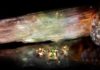 Zultanite : What is Zultanite Mineral? Where to find Zultanite? zultanite gemstones, rough and crystal form lighting