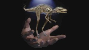 Life restoration of Kongonaphon kely, a newly described reptile near the ancestry of dinosaurs and pterosaurs, shown to scale with human hands. The fossils of Kongonaphon were found in Triassic (~237 million years ago) rocks in southwestern Madagascar and demonstrate the existence of remarkably small animals along the dinosaurian stem. Art by Frank Ippolito / © American Museum of Natural History