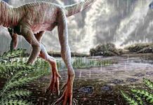 Insights into climate change during origin of dinosaurs A dinosaur-like reptile leaves muddy footprints along the shoreline of a lake during a rainstorm some 234 million years ago in northwestern Argentina. Credit: Jorge Gonzalez/NHMU