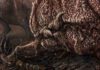New Mygatt-Moore quarry research leads to prehistoric climate finds Decomposition of dinosaurian remains inferred by invertebrate traces on vertebrate bone reveal new insights into Late Jurassic ecology, decay, and climate in western Colorado Credit: Brian Engh