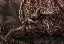 New Mygatt-Moore quarry research leads to prehistoric climate finds Decomposition of dinosaurian remains inferred by invertebrate traces on vertebrate bone reveal new insights into Late Jurassic ecology, decay, and climate in western Colorado Credit: Brian Engh