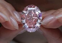 Pink Star Diamond : The largest known Pink Diamond The Pink Star diamond, which fetched the highest price ever for a jewel offered at auction, is displayed at Sotheby's in Hong Kong on March 29. Credit: Vincent Yu/AP