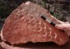 Cliff collapse reveals 313-million-year-old fossil footprints in Grand Canyon National Park Manakacha Trackway. Credit: Stephen Rowland