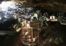 Workers excavating Hall’s Cave in Central Texas. Image Courtesy of Michael Waters