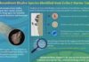 Life in a nutshell: New species found in the carapace of late cretaceous marine turtle Scientists identified a new ichnospecies from the shell of an extinct marine turtle fossil, the first known species coexisting on living marine vertebrates