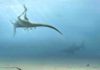 New species of dinosaur discovered on Isle of Wight Artists impression of the dinosaur's final moments. Credit: Trudie Wilson
