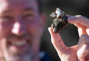 Professor Scott Bryan recovering pumice. Credit: QUT