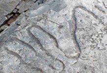 Traces of ancient life tell story of early diversity in marine ecosystems A fossilized meandering grazing trail from the Cambrian era. Credit: Luis Buatois