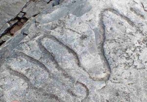 A fossilized meandering grazing trail from the Cambrian era. Credit: Luis Buatois