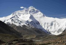 Unearthing evidence for the origins of plate tectonics Minerals inside tiny crystals could reveal how Earth's crust began moving.