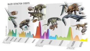 Summary of major extinction events through time, highlighting the new, Carnian Pluvial Episode at 233 million years ago. Credit: D. Bonadonna/ MUSE, Trento