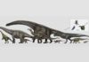 How to weigh a dinosaur The largest and the smallest: dinosaurs reached an amazing range in size through the Mesozoic Era. Credit: Vitor Silva