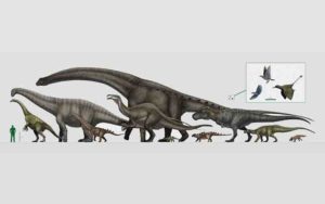 The largest and the smallest: dinosaurs reached an amazing range in size through the Mesozoic Era. Credit: Vitor Silva