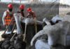 A huge mammoth graveyard has been uncovered at the site of Mexico City's new airport