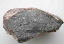 Meteorite study suggests Earth may have been wet since it formed Piece of the meteorite Sahara 97096 (about 10 cm long), an enstatite chondrite that contains about 0.5 weight % of water. If Earth formed entirely of this material, it would have received 23 times the total mass of water present in the Earth's oceans. Credit: L. Piani, Museum of Natural History in Paris