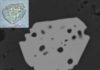Priscillagrewite : New mineral named in honor of renowned Nebraska geologist Larger: A back-scattered electron image of a microscopic crystal of priscillagrewite-(Y) enclosed in fluorapatite. Inset: An optical image of the same crystal. Credit: American Mineralogist / Irina Galuskina et al.