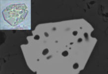 Priscillagrewite : New mineral named in honor of renowned Nebraska geologist Larger: A back-scattered electron image of a microscopic crystal of priscillagrewite-(Y) enclosed in fluorapatite. Inset: An optical image of the same crystal. Credit: American Mineralogist / Irina Galuskina et al.