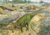 Scelidosaurus : First complete dinosaur skeleton ever found is ready for its closeup at last The first complete dinosaur skeleton ever identified has finally been studied in detail and found its place in the dinosaur family tree, completing a project that began more than a century and a half ago. Credit: John Sibbick