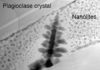 Scientists shine light on tiny crystals behind unexpected violent eruptions Nanolite 'snow' surrounding an iron oxide microlite 'Christmas tree'. Even these small 50 nm spheres are actually made up of even smaller nanolites aggregated into clumps. Christmas has come early this year for these researchers. Credit: Brooker/Griffiths/Heard/Cherns