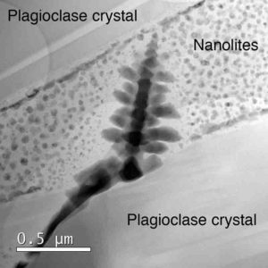 Nanolite 'snow' surrounding an iron oxide microlite 'Christmas tree'. Even these small 50 nm spheres are actually made up of even smaller nanolites aggregated into clumps. Christmas has come early this year for these researchers. Credit: Brooker/Griffiths/Heard/Cherns