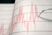 What Is the Cause of an Earthquake? Seismogram