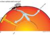 Understanding Earth’s ‘deep-carbon cycle’ carbon cycle