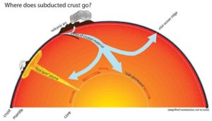 carbon cycle