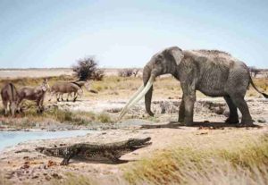 A crocodile next to a mastodon of the genus Anancus and primitive horses of the genus Hipparion in a similar environment to what could have been Valencia six million years ago. Credit: José Antonio Peñas (SINC)