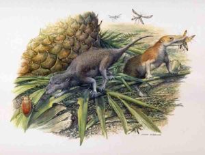 Reconstruction of Morganucodon (left) and Kuehneotherium (right) hunting in Early Jurassic Wales 200 million years ago. Credit: Original painting by John Sibbick, 2013. Copyright: Pam Gill