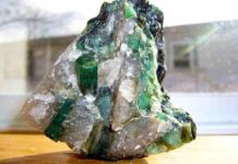 Earth grows fine gems in minutes Brazilian emeralds in a quartz-pegmatite matrix. (Photo courtesy of Madereugeneandrew/Wikimedia Commons)